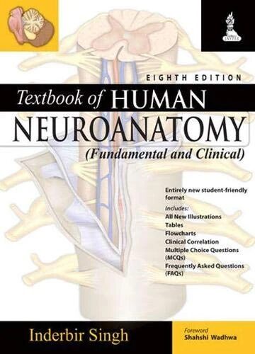 Textbook of human neuroanatomy