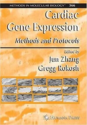 Cardiac Gene Expression