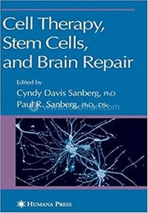 Cell Therapy, Stem Cells and Brain Repair