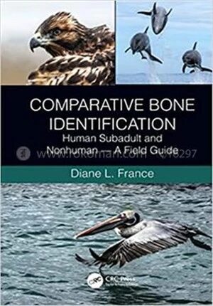 Comparative Bone Identification