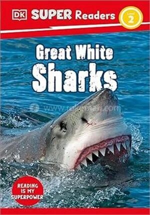 Great White Sharks